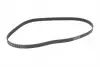 Пас поліклиновий VW T5/Golf 2.3-3.2 V6 03-09/Audi CONTINENTAL Contitech 6PK1264 (фото 5)