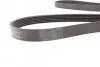 Пас поліклиновий BMW 3 (E90) 3.2D 07-11/ Ford Tran CONTINENTAL Contitech 6PK1780 (фото 3)