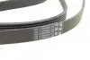 Пас поліклиновий VW Passat 2.3 96-05 CONTINENTAL Contitech 6PK2370 (фото 3)
