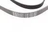 Пас поліклиновий Mitsubishi Space Runner/Wagon/Hyu CONTINENTAL Contitech 5PK1393 (фото 3)