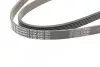 Ремень поликлиновой Contitech 6PK2285 (фото 3)