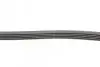 Пас поліклиновий Toyota Avensis/Corolla 2.0D 03-09 CONTINENTAL Contitech 5PK1250 (фото 2)