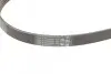 Пас поліклиновий Toyota Avensis/Corolla 2.0D 03-09 CONTINENTAL Contitech 5PK1250 (фото 3)