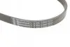 Пас поліклиновий Toyota Avensis/Corolla 2.0D 03-09 CONTINENTAL Contitech 5PK1250 (фото 4)
