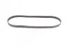 Пас поліклиновий BMW M3 (E90) 07-13/Peugeot 306 1. CONTINENTAL Contitech 6PK1065 (фото 4)
