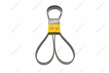 Ремень поликлиновой Contitech 6PK2310