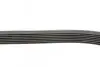 Пас поліклиновий Renault Megane/Scenic 1.9dCi/2.0 CONTINENTAL Contitech 7PK1125 (фото 2)