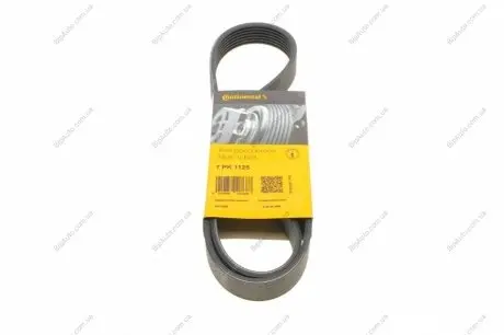 Пас поліклиновий Renault Megane/Scenic 1.9dCi/2.0 CONTINENTAL Contitech 7PK1125