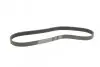 Пас поліклиновий Renault Megane/Scenic 1.9dCi/2.0 CONTINENTAL Contitech 7PK1125 (фото 5)