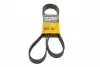 Ремень поликлиновой 7PK1629 CONTITECH