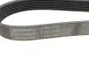 Пас поліклиновий Land Rover Discovery/Range Rover CONTINENTAL Contitech 7PK1867 (фото 4)