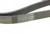 Ремень поликлиновой Contitech 7PK2035 (фото 3)