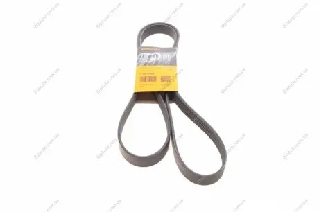 Ремень поликлиновой Contitech 7PK1795
