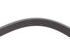 Пас поліклиновий Renault Megane/Laguna/Scenic 2.0 CONTINENTAL Contitech 7PK1705 (фото 3)