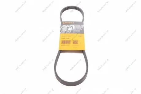 Пас поліклиновий Nissan Almera/Primera/Sunny (4PK8 CONTINENTAL Contitech 4PK810