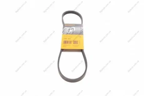 Пас поліклиновий Nissan Primera 93-01/Peugeot 205/ CONTINENTAL Contitech 4PK815