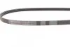 Пас поліклиновий Nissan Primera/Micra/Note 1.2-2.0 CONTINENTAL Contitech 4PK830 (фото 2)
