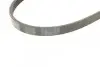 Пас поліклиновий CONTINENTAL Contitech 4PK841 (фото 4)