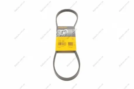 Пас поліклиновий Hyundai Tucson/i30/Kia Sportage/C CONTINENTAL Contitech 4PK890