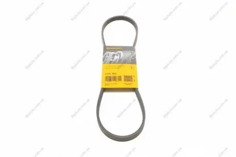 Доріжковий пас Contitech 4PK895