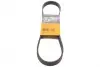 Ремінь генератора поліклиновий CONTINENTAL 6PK884