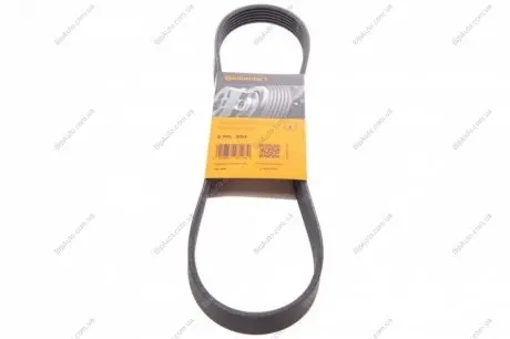 Ремінь генератора поліклиновий CONTINENTAL Contitech 6PK884