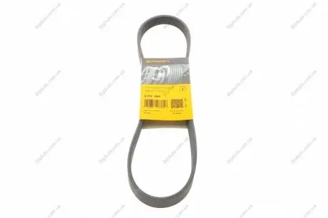 Пас поліклиновий Citroen C4/C5 14-/Renault Kangoo/ CONTINENTAL Contitech 6PK894