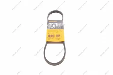 Пас поліклиновий Fiat Ducato 1.9D/TD 98-02/2.0JTD CONTINENTAL Contitech 4PK755