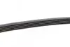 Пас поліклиновий Citroen Berlingo 1.1/1.4i 96- CONTINENTAL Contitech 5PK813 (фото 3)