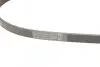 Пас поліклиновий Hyundai Accent 1.3-1.6 94-11/ Toy CONTINENTAL Contitech 4PK850 (фото 3)