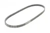 Пас поліклиновий Hyundai Accent 1.3-1.6 94-11/ Toy CONTINENTAL Contitech 4PK850 (фото 5)
