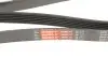 Ремінь генератора клиновий Gates 6PK1830XS (фото 5)