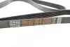 Ремень поликлиновой DAYCO 6PK2080HD (фото 3)