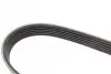 Ремень поликлиновой DAYCO 6PK2080HD (фото 4)