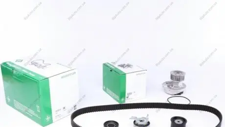 Комплект ГРМ с помпой INA 530004930