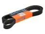 Ремінь поліклінової 8PK2160HD DAYCO