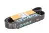 Ремінь поліклінової 8PK1509HD DAYCO