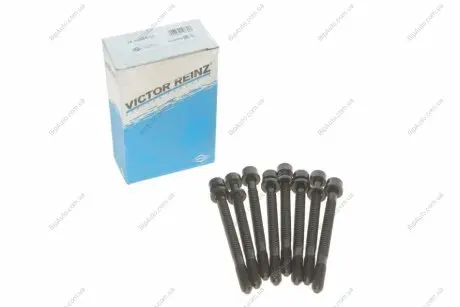 Комплект болтів головки циліндрів VICTOR REINZ 14-32054-01