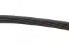 Ремень поликлиновой DAYCO 6PK691EE (фото 3)