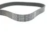 Ремень поликлиновой DAYCO 7PK1741S (фото 4)