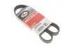 Ремінь генератора клиновий GATES 6PK1018