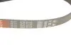 Ремень поликлиновой Gates 6PK2175 (фото 4)