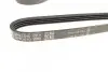 Ремень поликлиновой DAYCO 4PK1510 (фото 2)