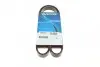 Ремінь генератора поліклиновий DAYCO 5PK1025