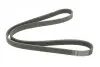 Ремень поликлиновой DAYCO 5PK1125 (фото 5)