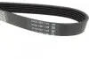 Ремень поликлиновой DAYCO 6PK1035 (фото 2)
