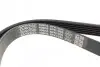 Ремень поликлиновой DAYCO 6PK1035 (фото 3)