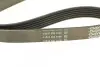 Ремень поликлиновой DAYCO 6PK1065 (фото 3)