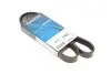 Доріжковий пас DAYCO 6PK1076