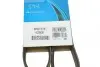 Ремень поликлиновой DAYCO 6PK1115 (фото 6)